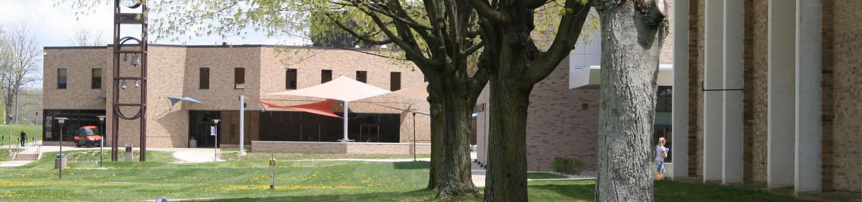 Trees and Potter Center